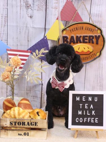 20240904マハロくん